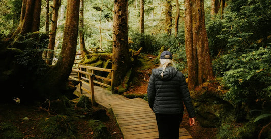 How holistic health can transform your lifestyle