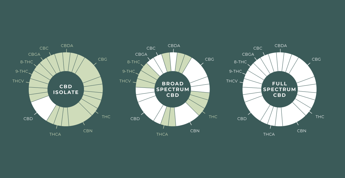 What Is Full Spectrum Cbd Provacan Provacan 7181