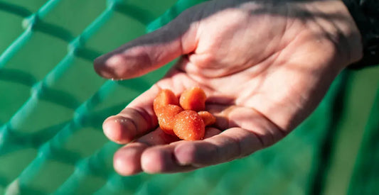 Are Edibles Legal In The UK? Legality Of CBD And THC Gummies