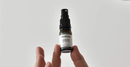 What is CBD used for? Exploring the benefits and options