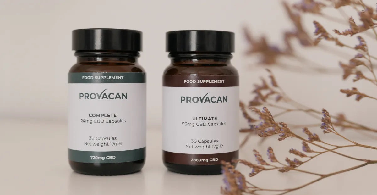 CBD capsules from Provacan: Complete 24mg CBD capsules and Ultimate 96mg CBD capsules on a white table next to dried flowers