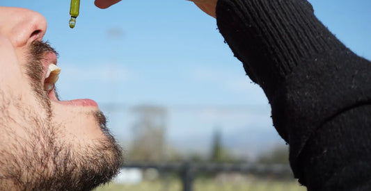 A Comprehensive Guide on How to Take CBD Oil
