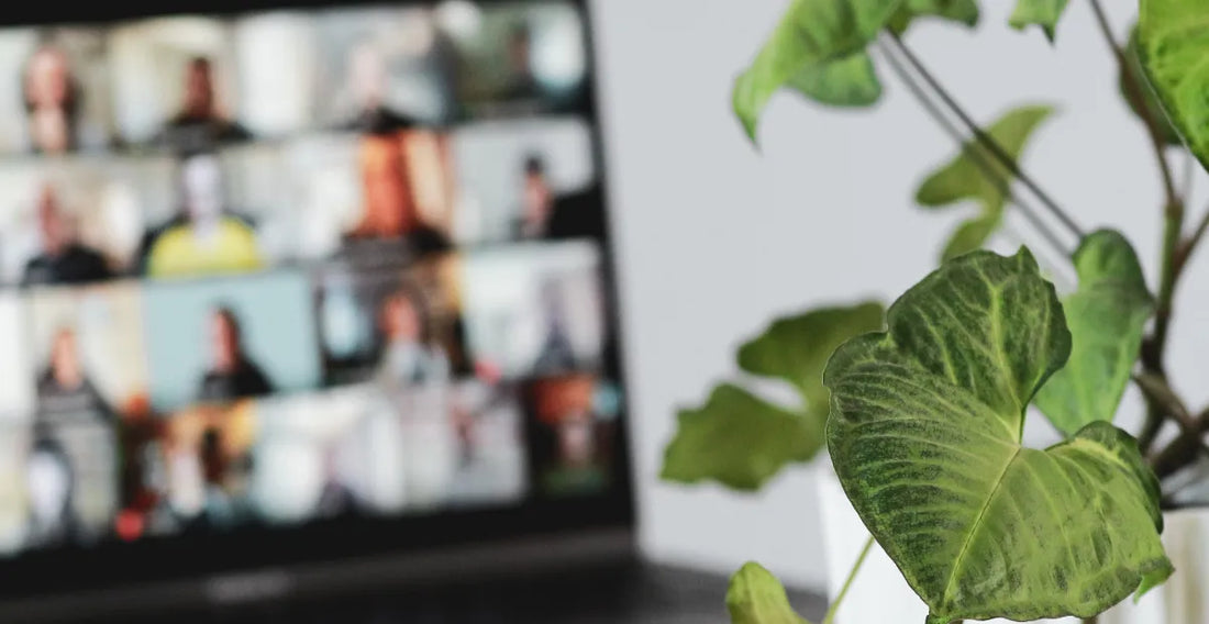CBD in the Workplace: What UK Employers Need to Know 2023