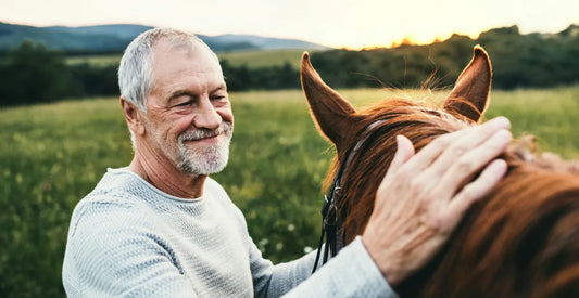 Man petting a horse in a field with a sunset in the background