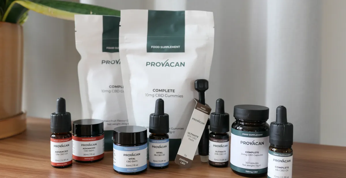 Provacan CBD Absorption