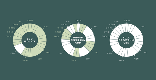 What Is Full Spectrum CBD?