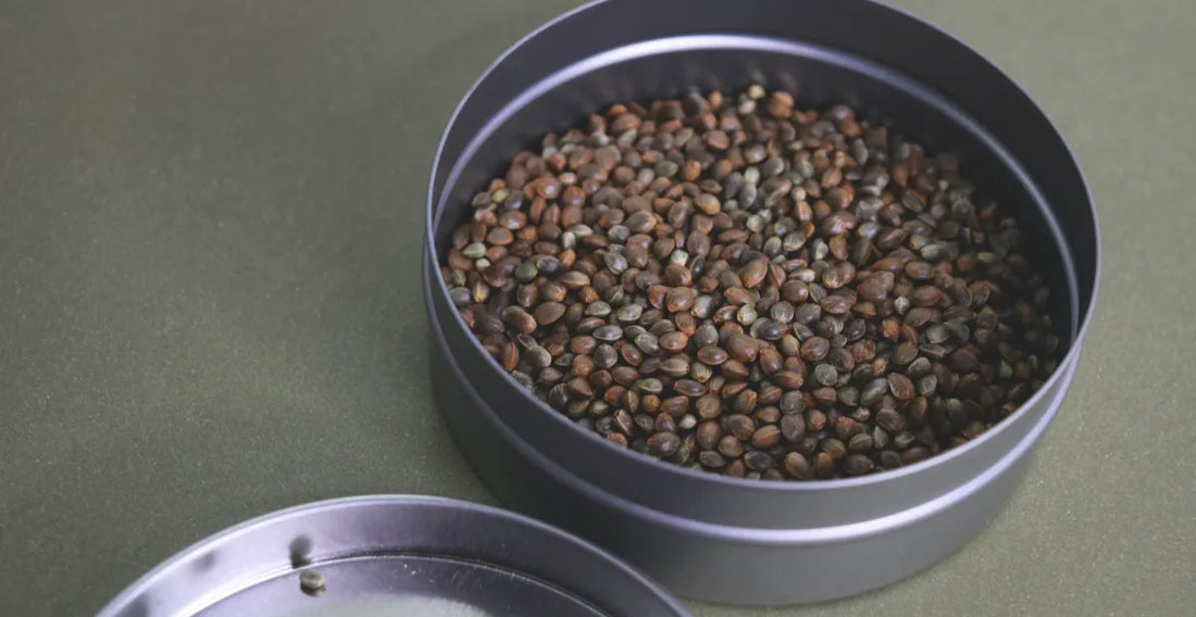 What is the Difference Between Hemp Seed Oil and CBD Oil?