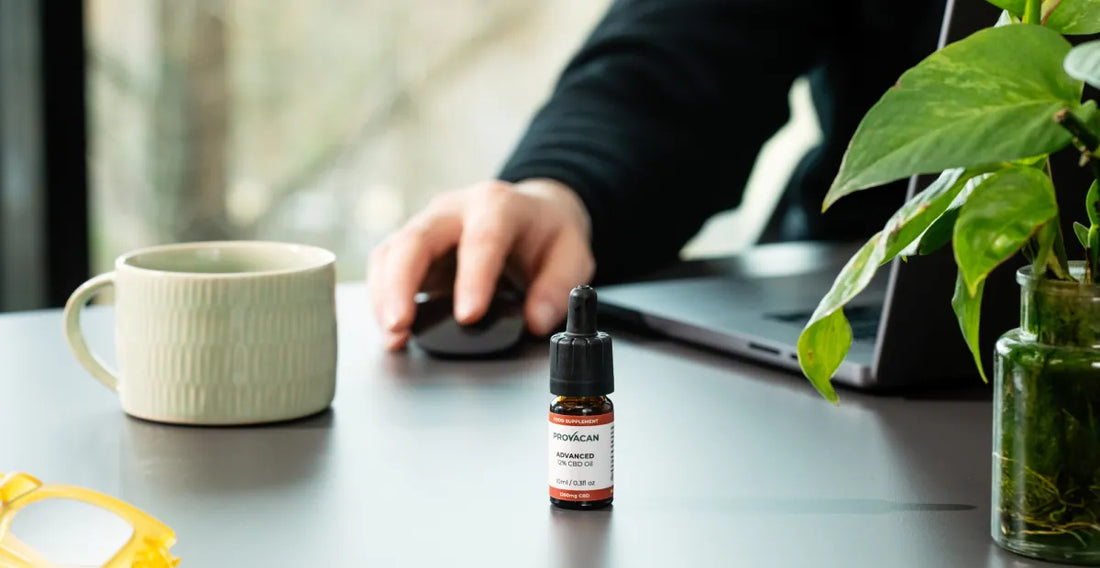 What To Look For When Buying CBD Oil
