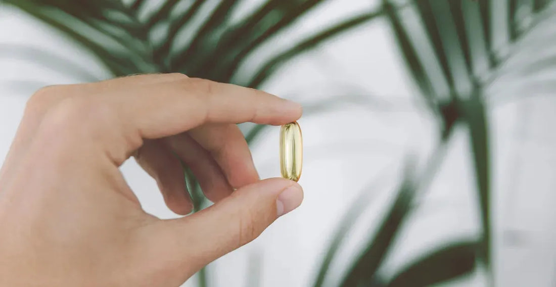 HHC vs. CBD: How Are They Different?