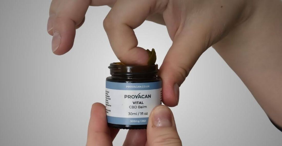 Provacan CBD Balms