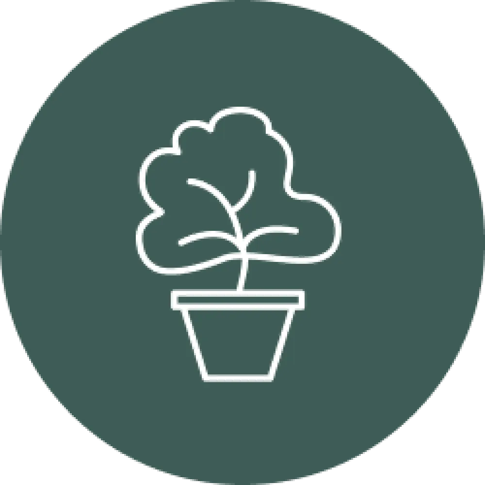 Icon of a potted plant on a dark green circle background