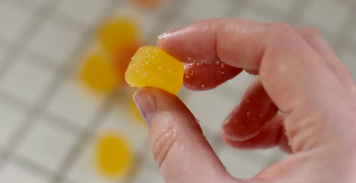 Hand holding a Provacan vegan CBD gummy with more gummies in the background